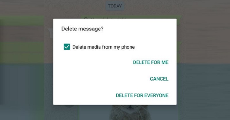 fitur whatsapp hapus untuk semua orang.